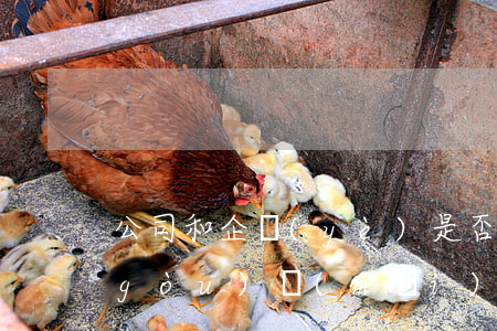公司和企業(yè)是否必須要為員工購(gòu)買(mǎi)住房公積金？